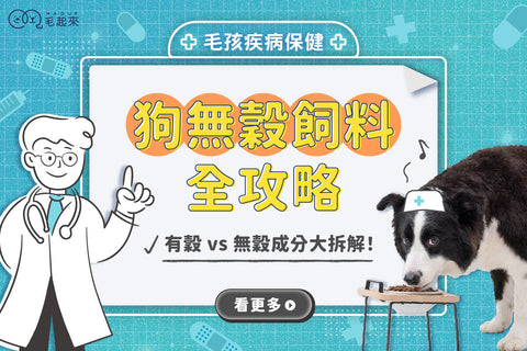 狗無穀飼料全攻略，有穀 vs 無穀成分大拆解！