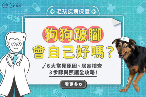 狗狗跛腳會自己好嗎？6大常見原因、居家檢查3步驟與照護全攻略！