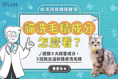 貓洗毛精成分怎麼看？避開 5 大踩雷成分，3 招挑出溫和護膚洗毛精