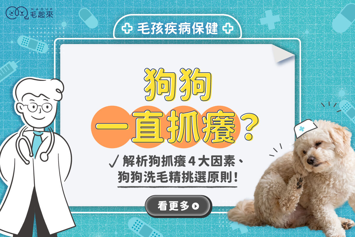 狗狗一直抓癢？解析狗抓癢4大因素、狗狗洗毛精挑選原則！