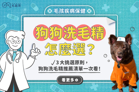 狗狗洗毛精怎麼選？3大挑選原則，狗狗洗毛精推薦清單一次看！