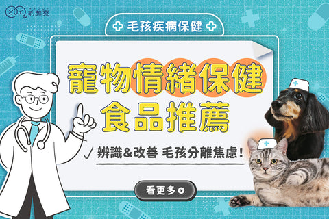 寵物情緒保健食品推薦｜貓咪、狗狗分離焦慮？判斷與處理方式！