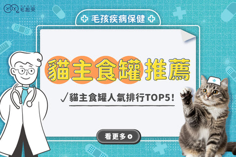 貓主食罐推薦｜貓主食罐、副食罐差異？Dcard、Ptt人氣熱門榜單！