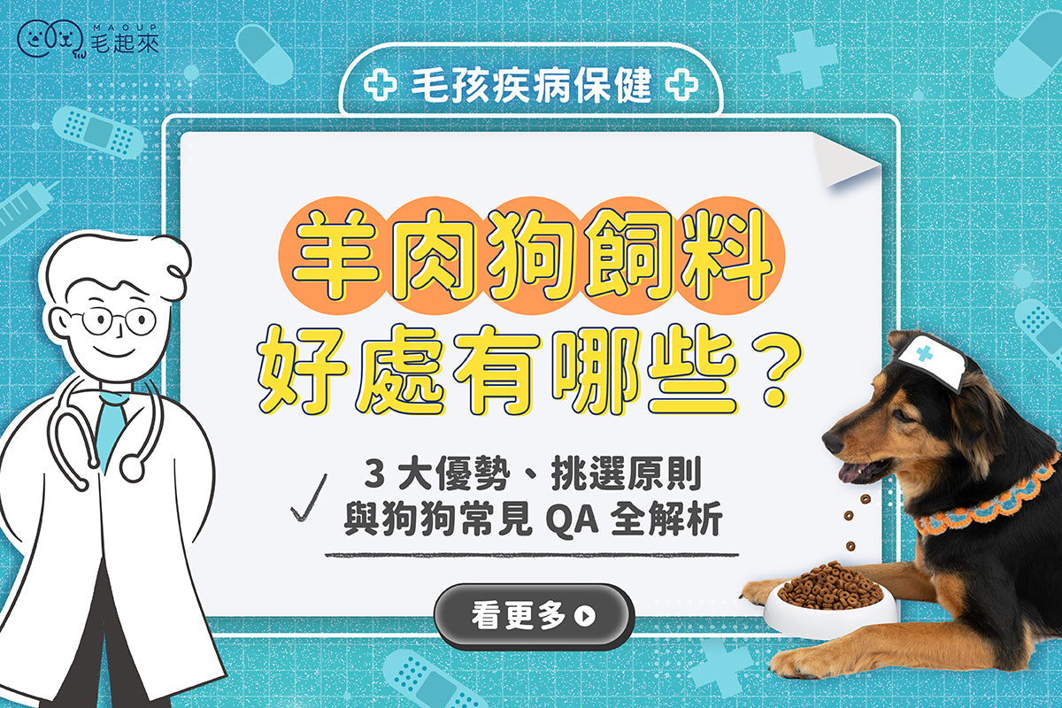 羊肉狗飼料好處有哪些？3 大優勢、挑選原則與狗狗常見 QA 全解析