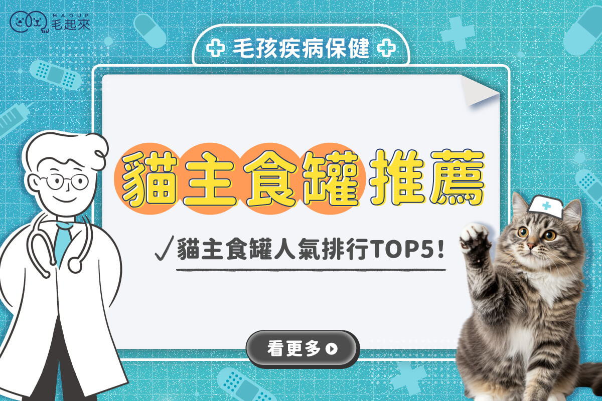 貓主食罐推薦｜貓主食罐、副食罐差異？Dcard、Ptt人氣熱門榜單！
