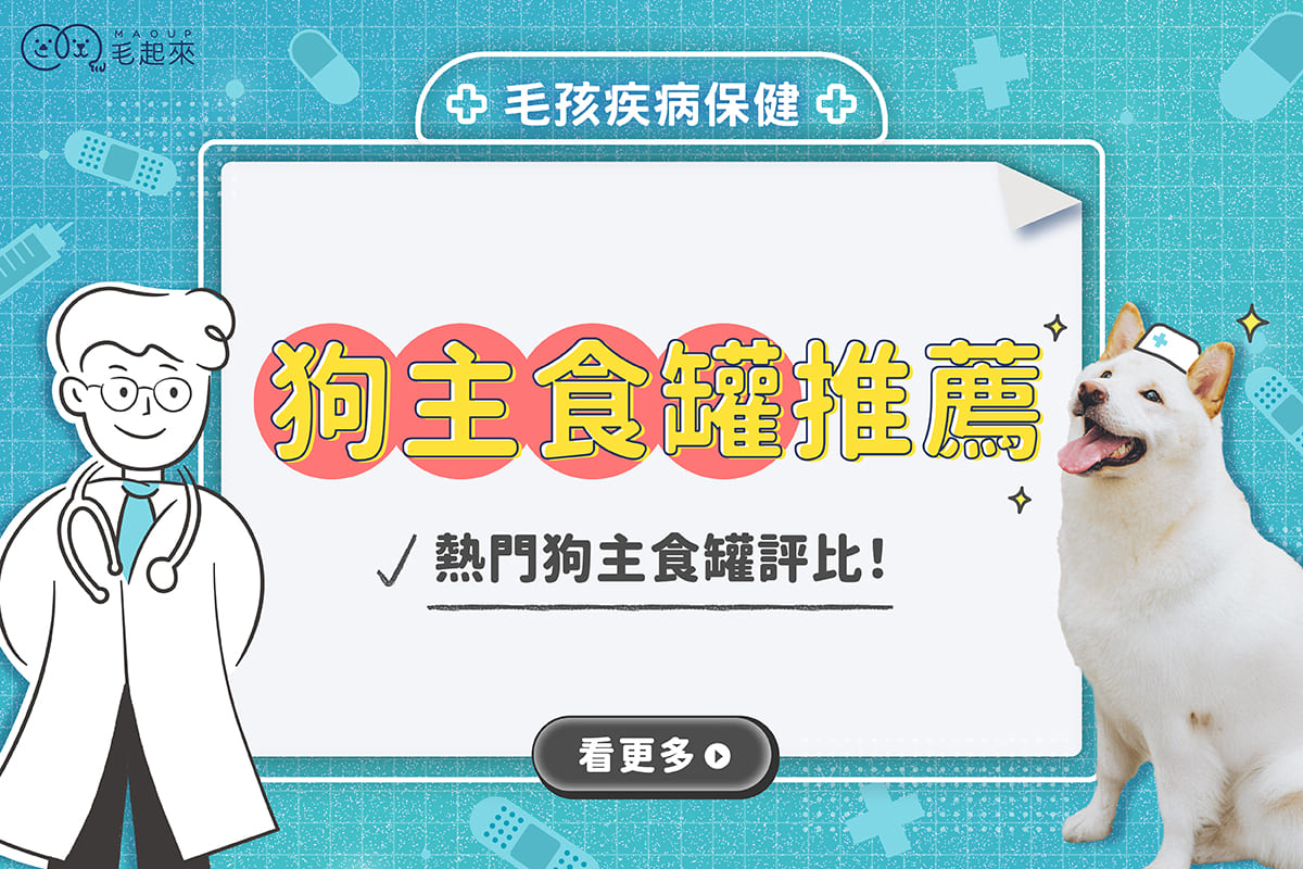 狗主食罐推薦｜狗狗吃主食罐好嗎？Dcard、Ptt熱門狗罐頭評比！