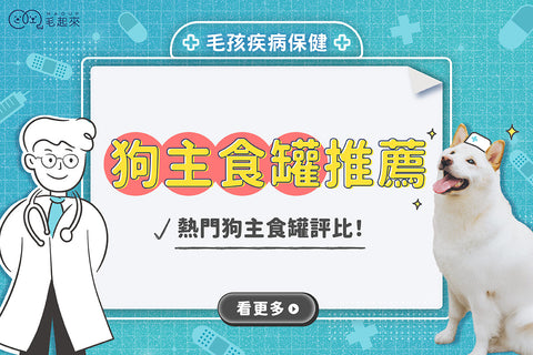 狗主食罐推薦｜狗狗吃主食罐好嗎？Dcard、Ptt熱門狗罐頭評比！
