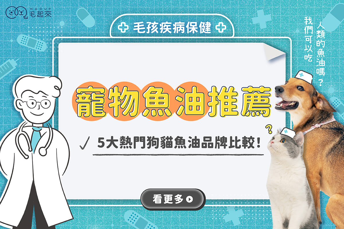 寵物魚油推薦｜5大狗貓魚油品牌評比，好處、劑量一次了解！
