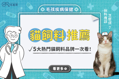 貓飼料怎麼挑？Dcard、Ptt網友精選[貓飼料推薦]品牌！