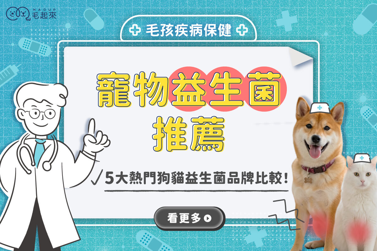 寵物益生菌推薦｜5大狗貓益生菌品牌評比，維持腸道健康！