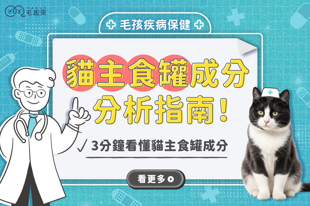 貓主食罐成分怎麼看？貓主食罐挑選指南，快速看懂貓罐頭成分！