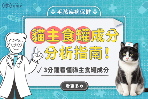 貓主食罐成分怎麼看？貓主食罐挑選指南，快速看懂貓罐頭成分！