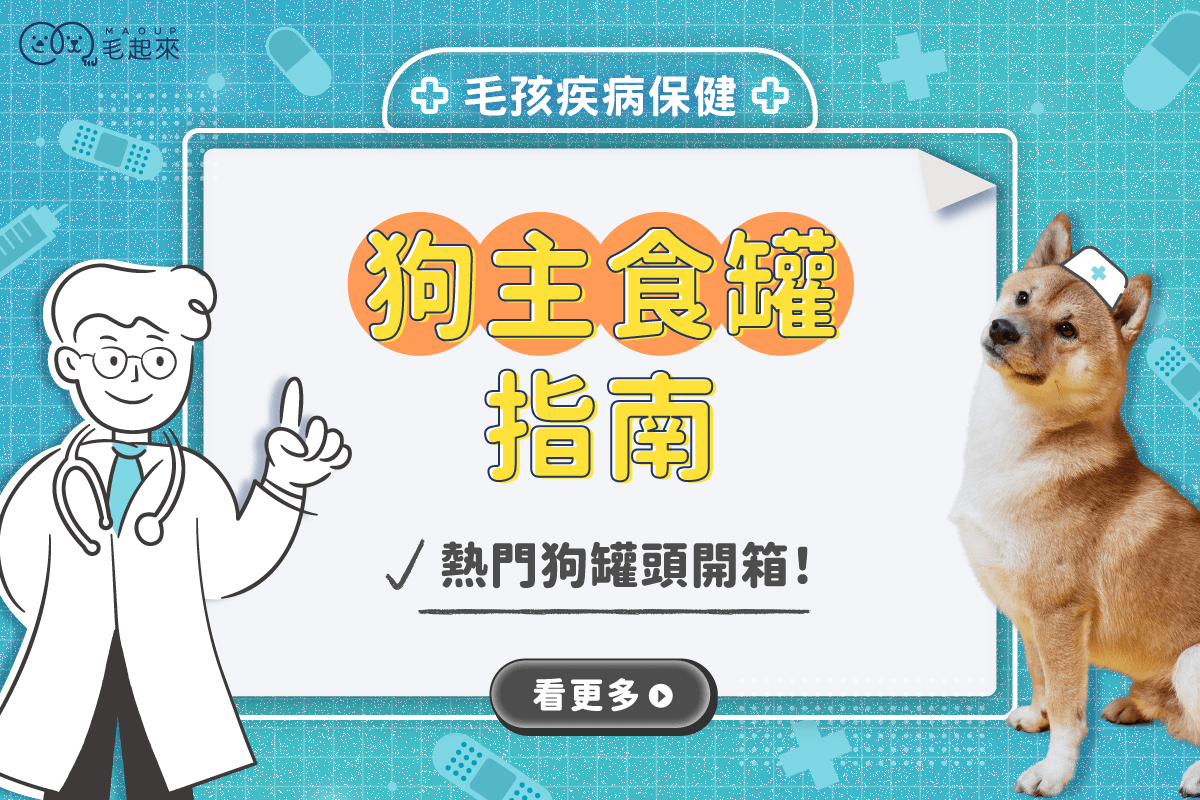 狗狗主食罐可以每天吃嗎？了解狗罐頭好處，熱門狗罐頭開箱！