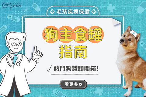 狗狗主食罐可以每天吃嗎？了解狗罐頭好處，熱門狗罐頭開箱！
