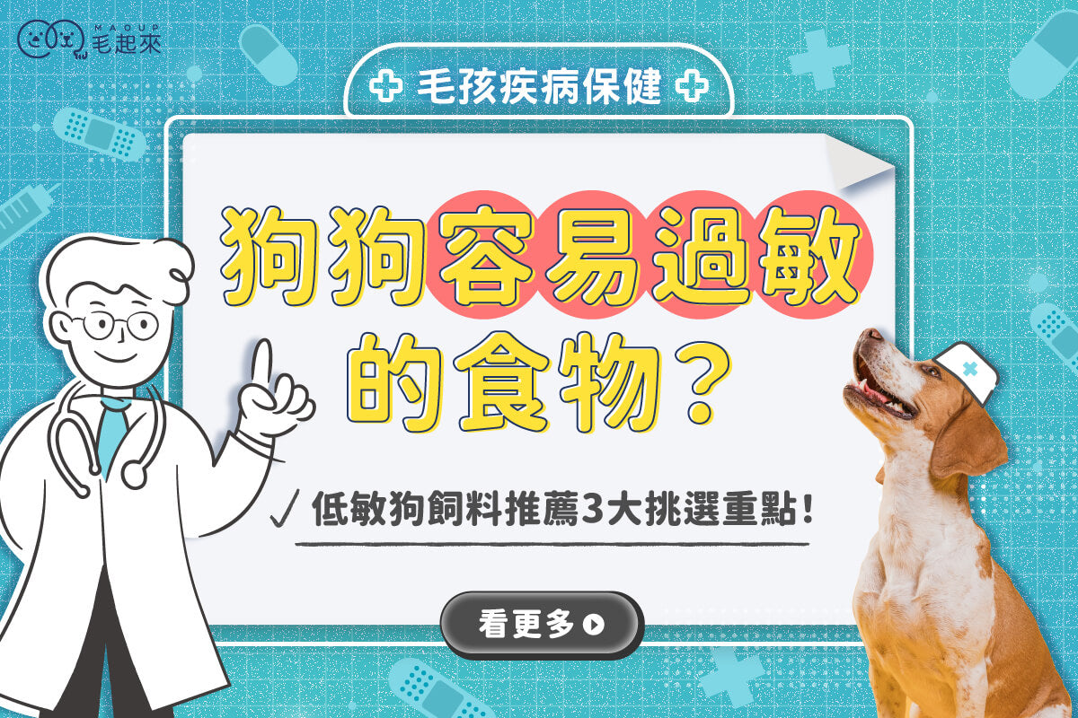狗狗容易過敏的食物？低敏狗飼料推薦3大挑選重點！