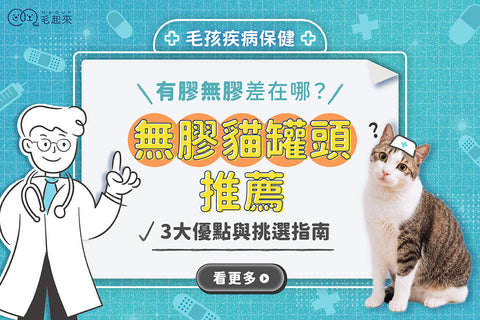 無膠貓罐頭推薦｜有膠、無膠差在哪？3 大優點與挑選指南