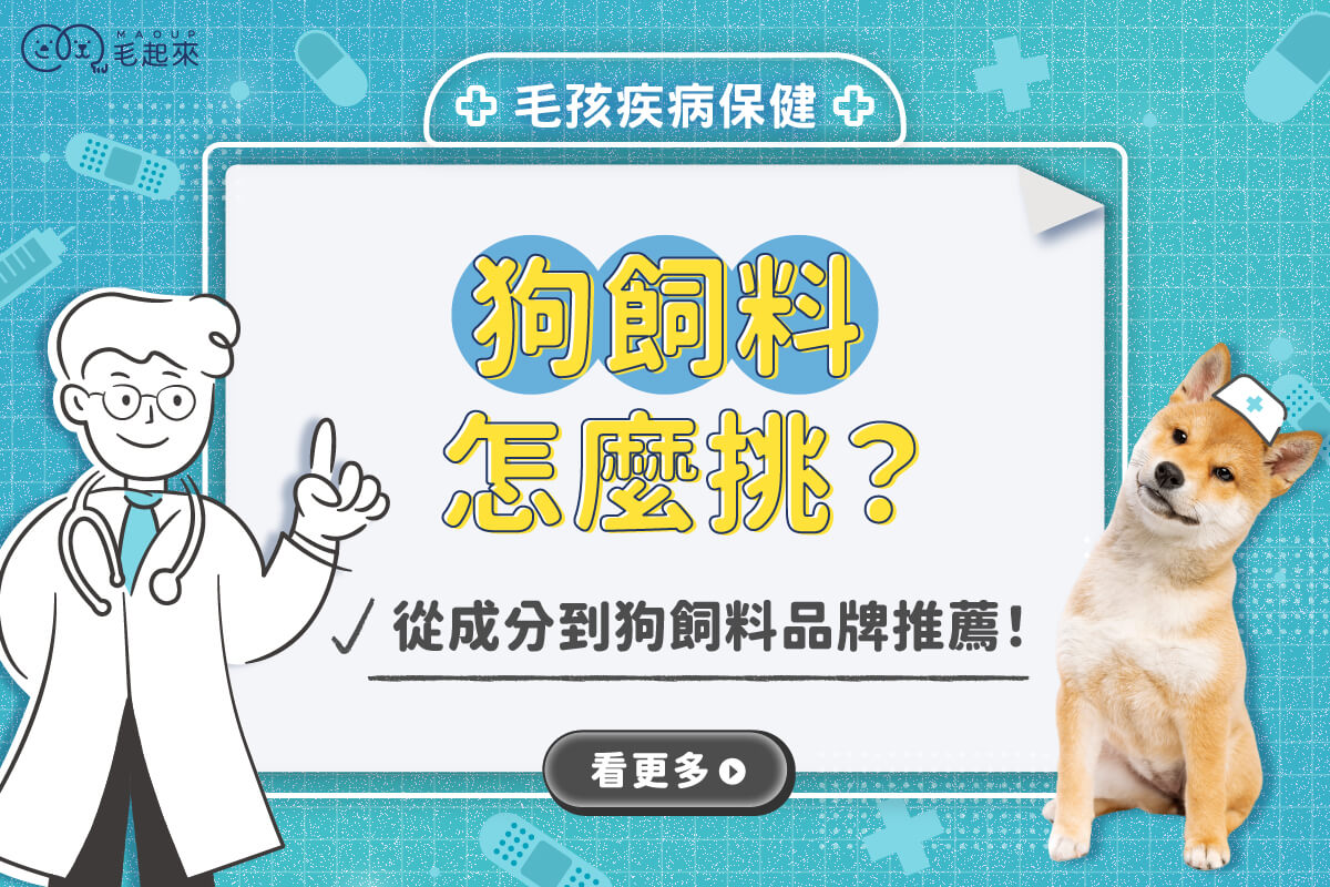 狗飼料推薦｜狗飼料怎麼挑？從成分到[狗飼料品牌]推薦！