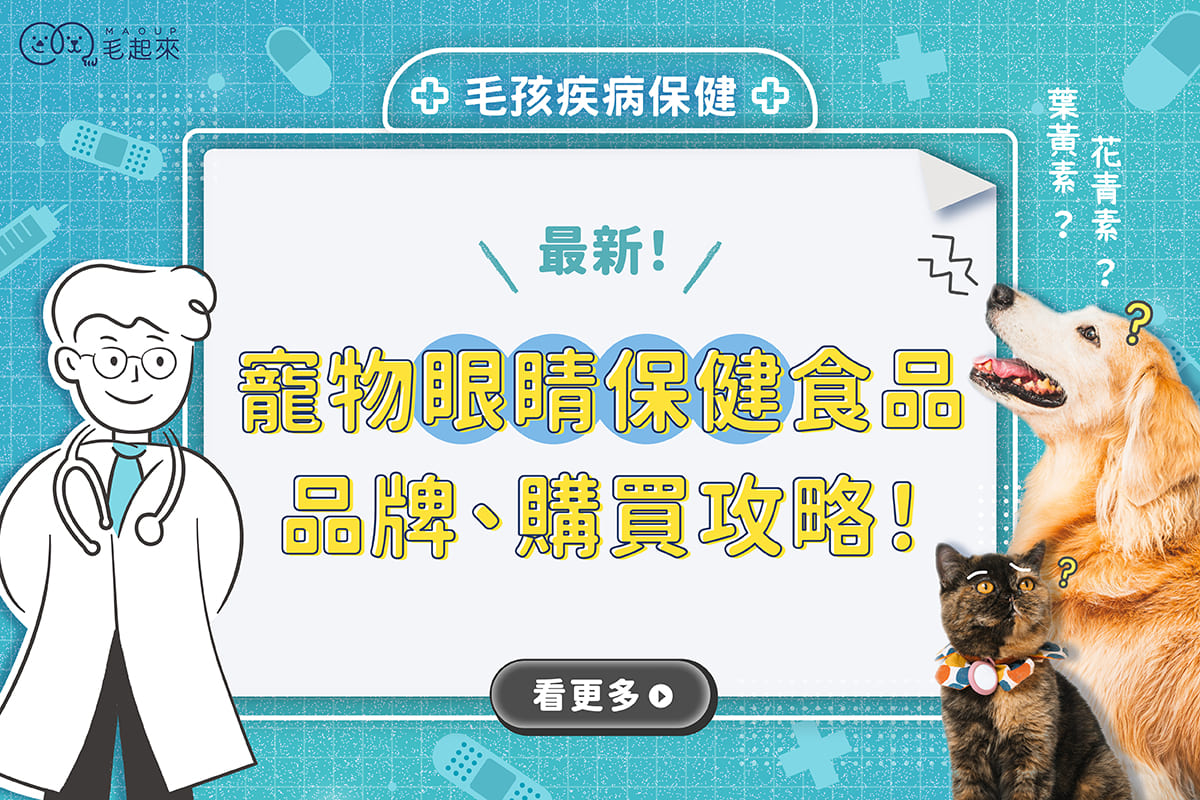 最新[寵物眼睛保健食品]！Dcard、Ptt推薦品牌，葉黃素、花青素成分解析！