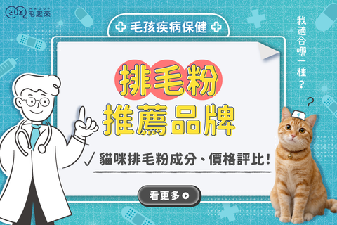 最新[排毛粉推薦]品牌！貓咪排毛粉全解析，帶你認識化毛膏！