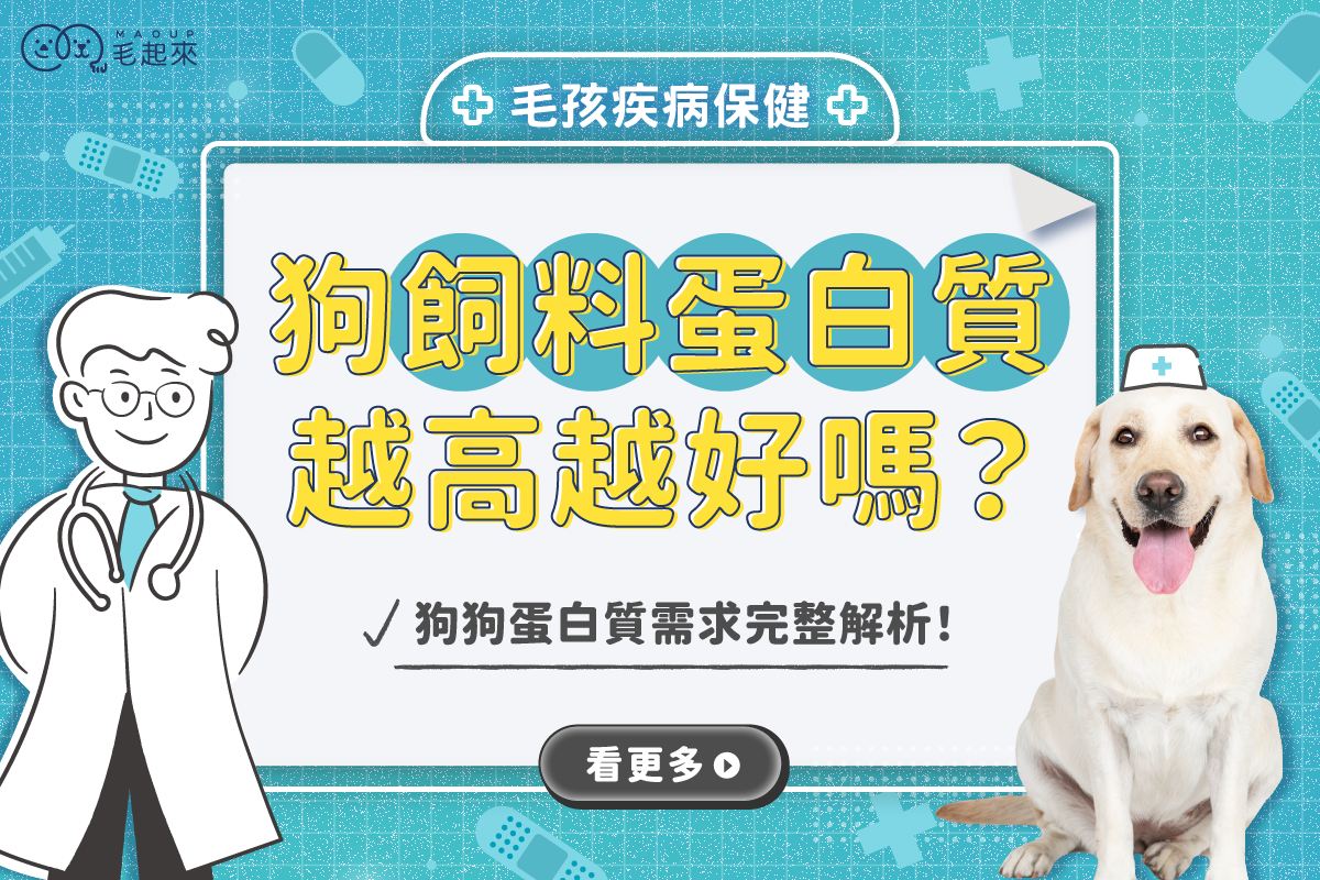 狗飼料蛋白質越高越好嗎？狗狗蛋白質需求完整解析！