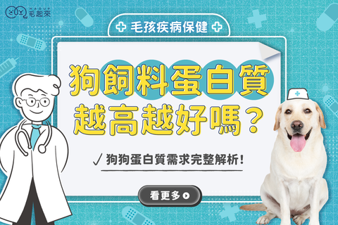 狗飼料蛋白質越高越好嗎？狗狗蛋白質需求完整解析！
