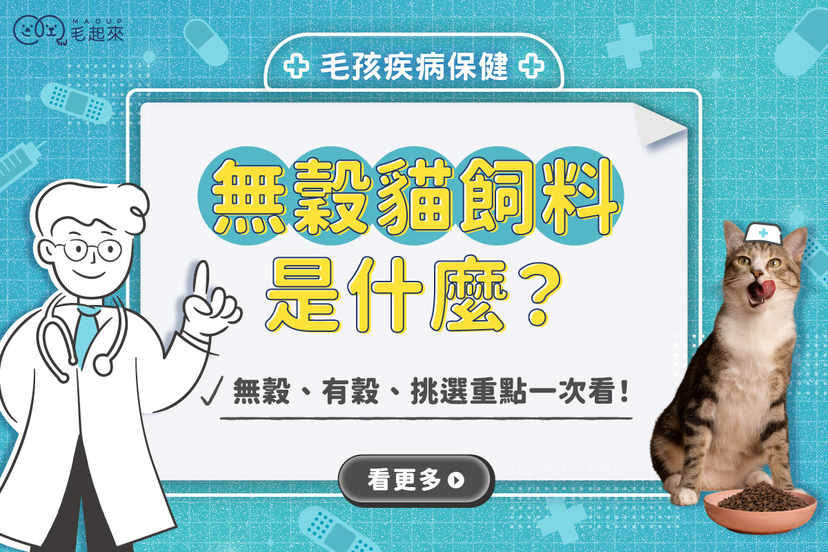 無穀貓飼料是什麼？無穀、有穀、挑選重點一次看！
