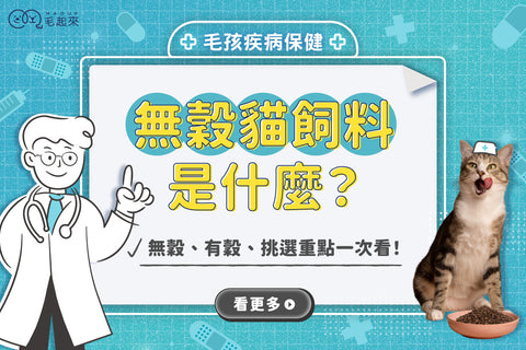 無穀貓飼料是什麼？無穀、有穀、挑選重點一次看！