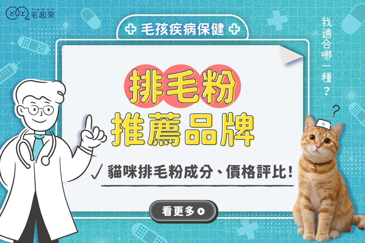最新[排毛粉推薦]品牌！貓咪排毛粉全解析，帶你認識化毛膏！