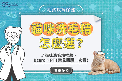 貓咪洗毛精怎麼選？貓咪洗毛精推薦，Dcard、PTT常見問題一次看！