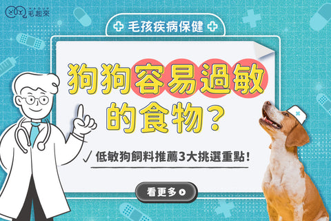 狗狗容易過敏的食物？低敏狗飼料推薦3大挑選重點！