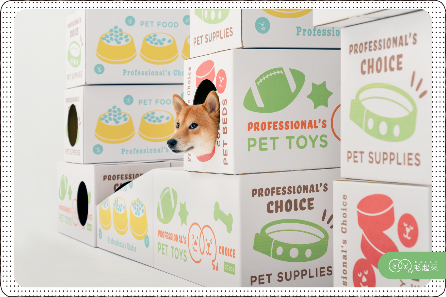 新手養狗用品懶人包！第一次養狗就上手．實用毛好物推薦