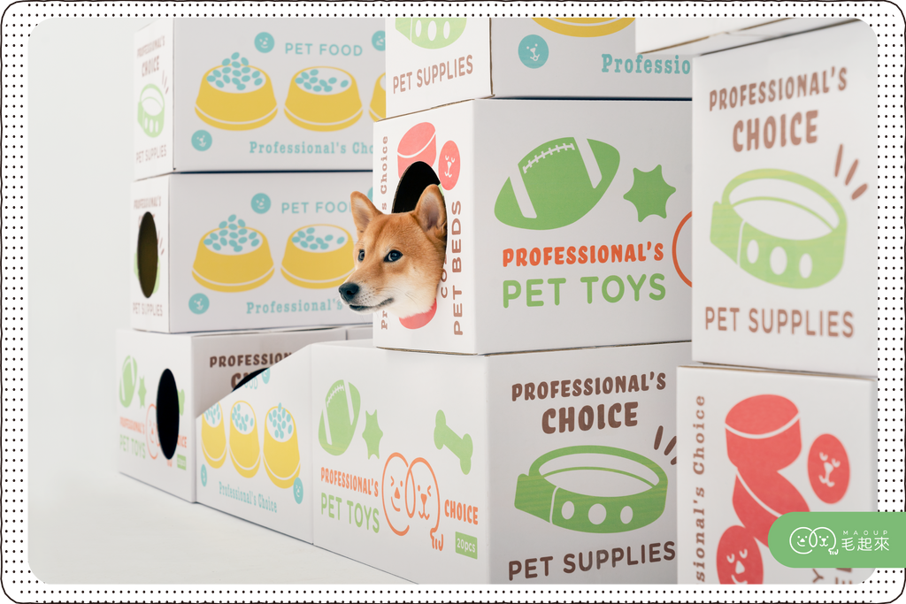 新手養狗用品懶人包！第一次養狗就上手．實用毛好物推薦