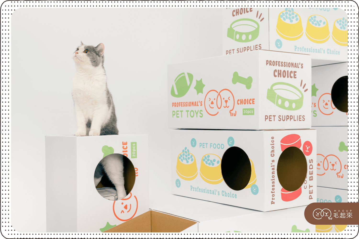 新手貓奴購物清單！質感養貓生活．10個奴才必收貓好物