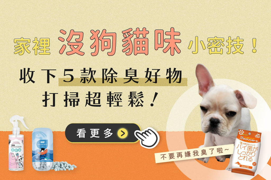 家裡沒狗貓味小秘技！收下５款除臭好物，打掃超輕鬆～