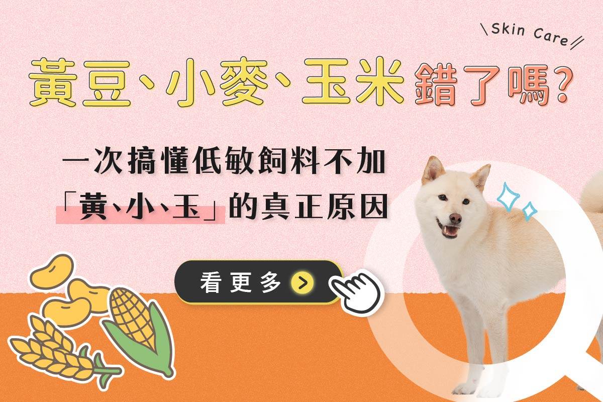 為什麼寵物低敏飼料不添加黃豆、玉米、小麥？