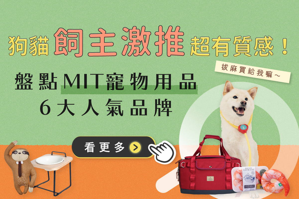 狗貓飼主激推超有質感！盤點MIT台灣寵物用品6大人氣品牌