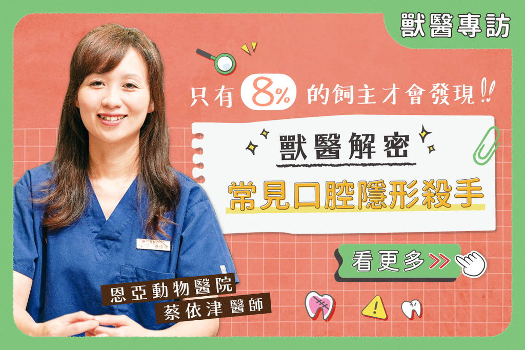 犬貓斷牙怎麼辦？專業獸醫教你最正確處理方式！