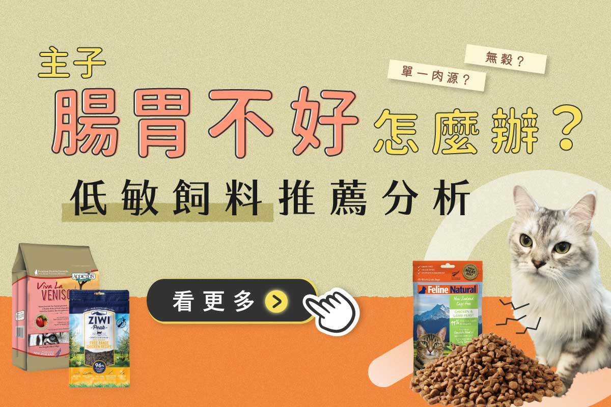 低敏貓飼料推薦