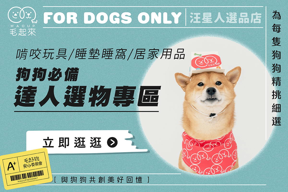 汪星人必備！精選狗狗優質好物！