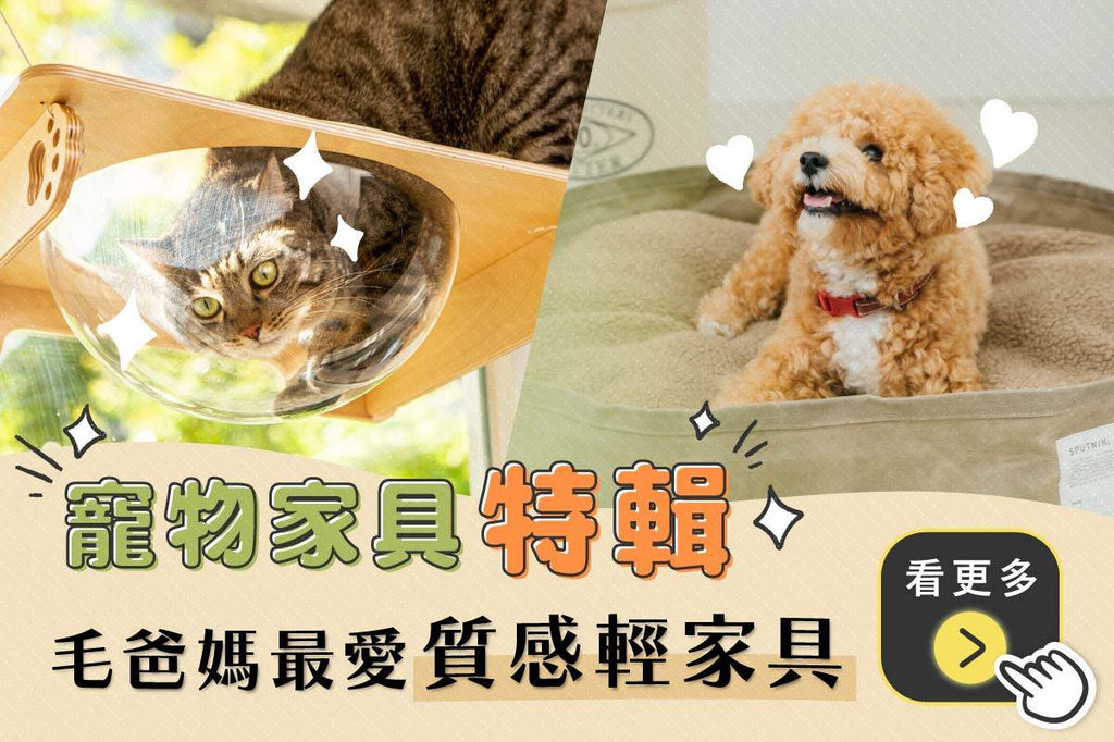 寵物家具特輯！5款貓奴&狗僕最愛質感輕家具