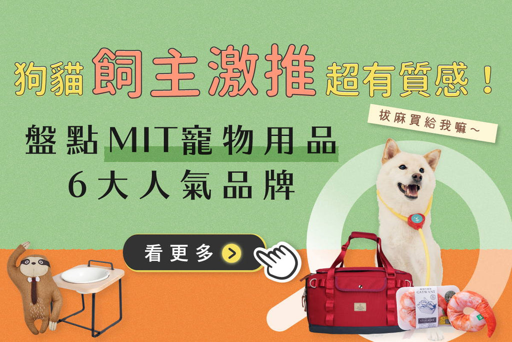 狗貓飼主激推超有質感！盤點MIT台灣寵物用品5大人氣品牌