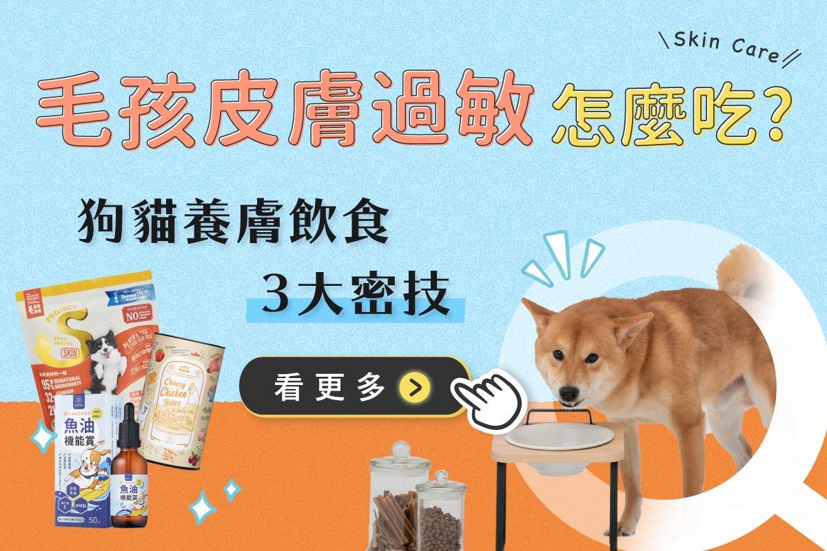 犬貓皮膚過敏吃什麼才好？推薦健康美膚飲食法