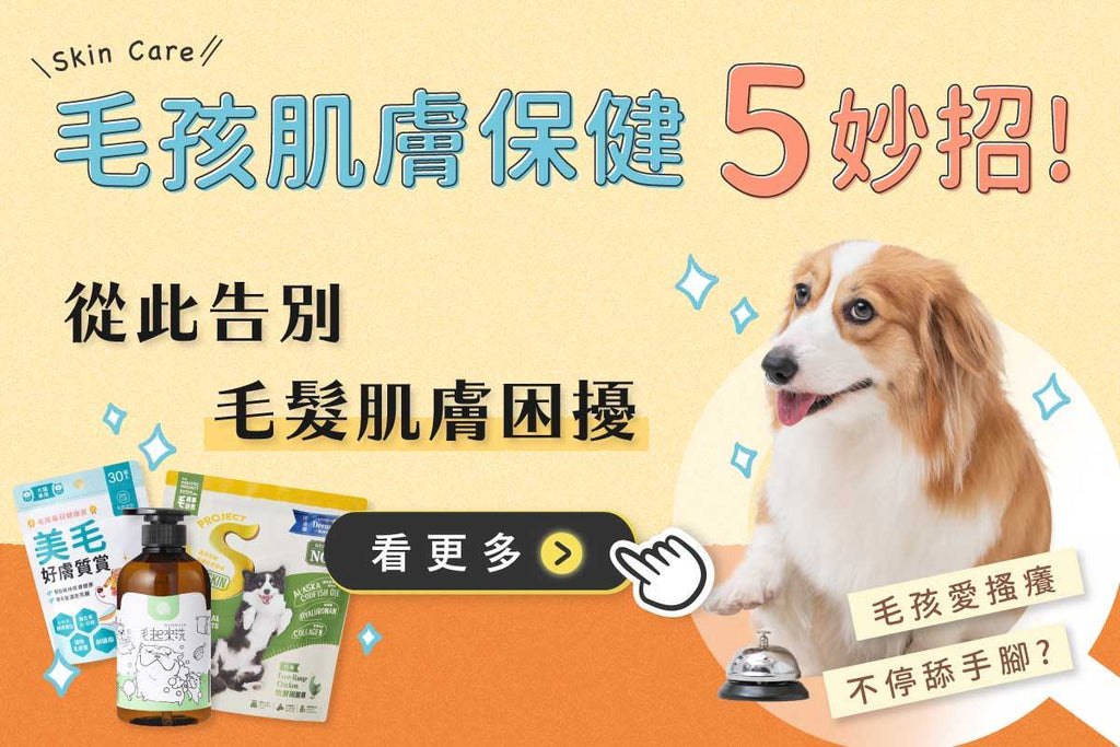 毛孩肌膚養護5妙招  從此告別毛髮肌膚困擾