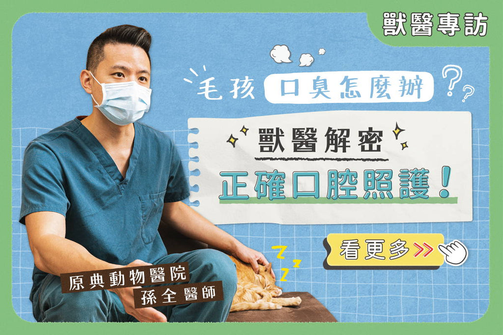 毛孩口臭怎麼辦？獸醫教你正確口腔照護！