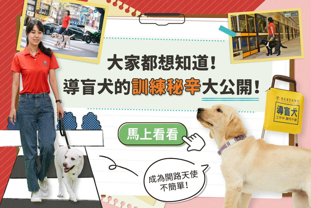 大家都想知道！導盲犬的訓練秘辛大公開！