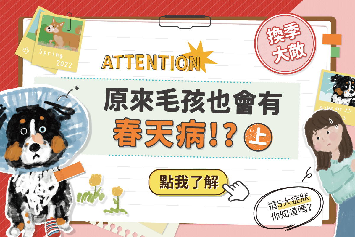 換季大敵！毛孩5個春天病，你家中了幾個？<上>