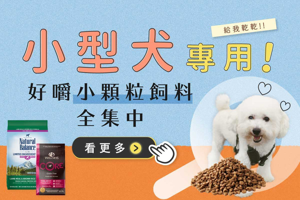 小型犬飼料推薦！3款小顆粒乾乾評比