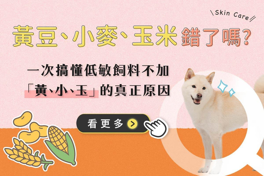 為什麼寵物低敏飼料不添加黃豆、玉米、小麥？