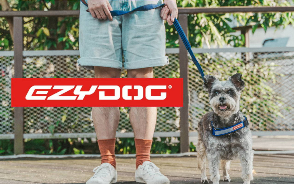 【EZYDOG】走在戶外寵物用品設計的最前端
