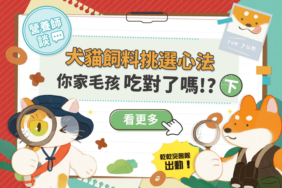 營養師談：完整犬貓飼料挑選心法，你選對了嗎？<下>